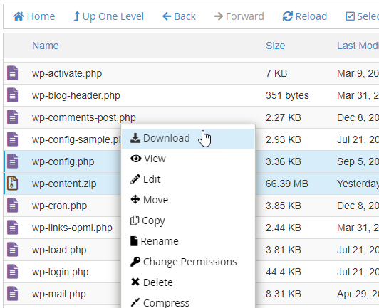 Download Compressed Zip File